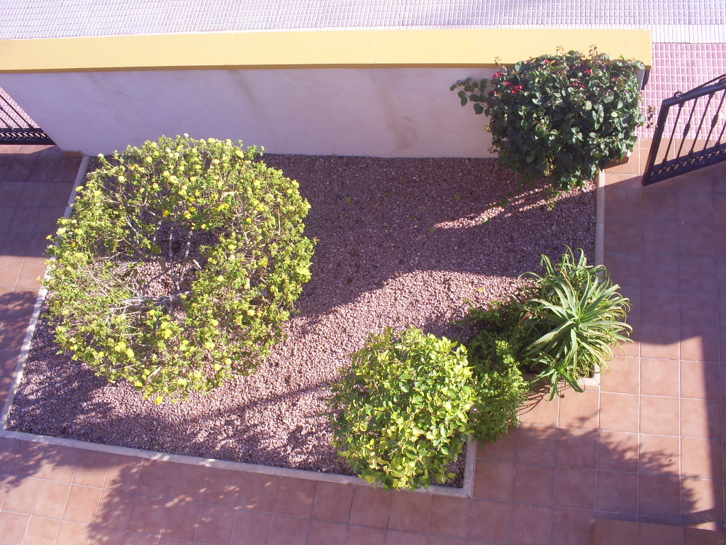 GardenFromBalcony.JPG